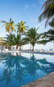 Туры в отель The Palm Bay Club Lodge Туры в отель The Palm Bay Club Lodge