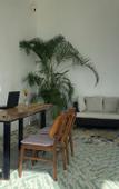 Туры в отель The Palm Bay Club Lodge Туры в отель The Palm Bay Club Lodge