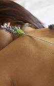 Туры в отель RVHotels Broquetas Spa Termal Туры в отель RVHotels Broquetas Spa Termal