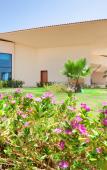 Туры в отель Maritim Jolie Ville Royal Peninsula Hotel & Resort Sharm El Sheikh Туры в отель Maritim Jolie Ville Royal Peninsula Hotel & Resort Sharm El Sheikh