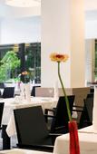 Туры в отель Maritim Stadthotel Туры в отель Maritim Stadthotel