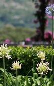 Туры в отель Agroturismo Son Siurana Туры в отель Agroturismo Son Siurana