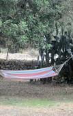 Туры в отель Agroturismo Son Siurana Туры в отель Agroturismo Son Siurana