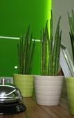 Туры в отель Hostal la Estacion Туры в отель Hostal la Estacion