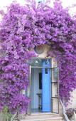 Туры в отель Villa Station Las Salinas Туры в отель Villa Station Las Salinas