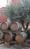 Туры в отель El Tollo Hotel Туры в отель El Tollo Hotel