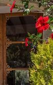 Туры в отель Finca Son Ametler Туры в отель Finca Son Ametler