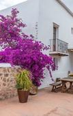 Туры в отель Agroturismo Can Pere Sord Туры в отель Agroturismo Can Pere Sord