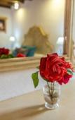 Туры в отель Agroturismo Can Pere Sord Туры в отель Agroturismo Can Pere Sord