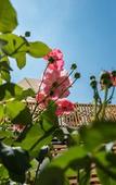 Туры в отель Sodium Hotel Boutique Туры в отель Sodium Hotel Boutique