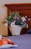 Туры в отель Hotel Manolo Mayo Туры в отель Hotel Manolo Mayo