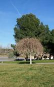 Туры в отель Camping de Zaragoza Туры в отель Camping de Zaragoza