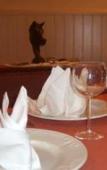 Туры в отель U Hotel Villa-Goma Туры в отель U Hotel Villa-Goma