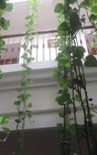 Туры в отель Hostal Bahia Туры в отель Hostal Bahia