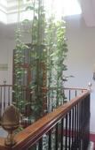 Туры в отель Hostal Bahia Туры в отель Hostal Bahia