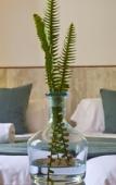 Туры в отель Casal de Petra - Rooms & Pool by My Rooms Hotels Туры в отель Casal de Petra - Rooms & Pool by My Rooms Hotels