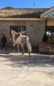 Туры в отель B&B Yeguada la parrilla Туры в отель B&B Yeguada la parrilla