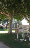 Туры в отель B&B Yeguada la parrilla Туры в отель B&B Yeguada la parrilla
