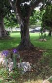 Туры в отель B&B Yeguada la parrilla Туры в отель B&B Yeguada la parrilla