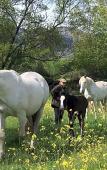 Туры в отель B&B Yeguada la parrilla Туры в отель B&B Yeguada la parrilla