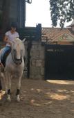 Туры в отель B&B Yeguada la parrilla Туры в отель B&B Yeguada la parrilla