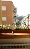 Туры в отель Hostal El Descanso Туры в отель Hostal El Descanso