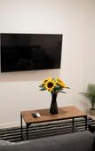 Туры в отель Oshun Plaza Castilla Туры в отель Oshun Plaza Castilla