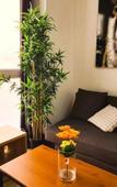 Туры в отель Oshun Plaza Castilla Туры в отель Oshun Plaza Castilla