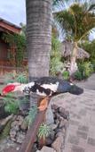 Туры в отель Agrocamping Invernaderito Туры в отель Agrocamping Invernaderito