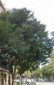 Туры в отель Hostal Laia by gaiarooms Туры в отель Hostal Laia by gaiarooms