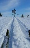 Туры в отель Wilderness Hotel Muotka & Igloos Туры в отель Wilderness Hotel Muotka & Igloos