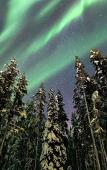 Туры в отель Northern Lights Village Levi Туры в отель Northern Lights Village Levi