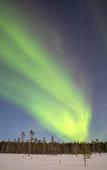 Туры в отель Northern Lights Village Levi Туры в отель Northern Lights Village Levi