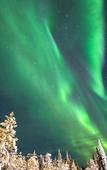 Туры в отель Northern Lights Village Levi Туры в отель Northern Lights Village Levi