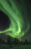 Туры в отель Northern Lights Village Levi Туры в отель Northern Lights Village Levi