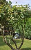 Туры в отель Mercure Maurepas Saint Quentin Туры в отель Mercure Maurepas Saint Quentin