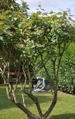 Туры в отель Mercure Maurepas Saint Quentin Туры в отель Mercure Maurepas Saint Quentin