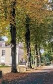 Туры в отель Demeures de campagne Parc du Coudray – Mercure Туры в отель Demeures de campagne Parc du Coudray – Mercure