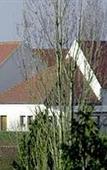 Туры в отель Hotel Les Suites - De Crecy Туры в отель Hotel Les Suites - De Crecy