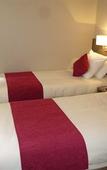 Туры в отель Kyriad Annemasse - Geneve Туры в отель Kyriad Annemasse - Geneve