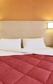 Туры в отель Kyriad Direct Annemasse - Geneve Туры в отель Kyriad Direct Annemasse - Geneve