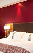 Туры в отель Holiday Inn Lille - Ouest Englos by IHG Туры в отель Holiday Inn Lille - Ouest Englos by IHG