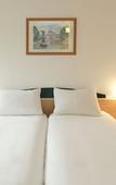 Туры в отель ibis Metz Centre Cathedrale Туры в отель ibis Metz Centre Cathedrale