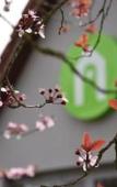 Туры в отель Campanile NATURE - Metz Sud Jouy aux Arches Туры в отель Campanile NATURE - Metz Sud Jouy aux Arches