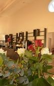 Туры в отель Hotel Villa Sophia Туры в отель Hotel Villa Sophia