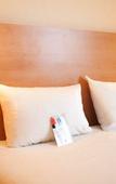 Туры в отель Ibis Saint Emilion Туры в отель Ibis Saint Emilion