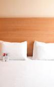 Туры в отель Ibis Saint Emilion Туры в отель Ibis Saint Emilion