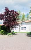 Туры в отель Ibis Saint Emilion Туры в отель Ibis Saint Emilion
