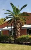 Туры в отель Campanile Toulouse Sud - Labege Innopole Туры в отель Campanile Toulouse Sud - Labege Innopole