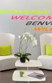 Туры в отель Ibis Styles Juan Les Pins Hotel Туры в отель Ibis Styles Juan Les Pins Hotel